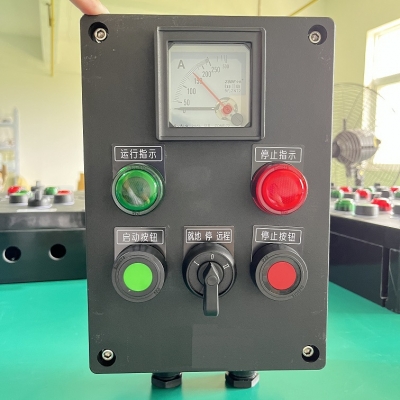 LCZ8030-A2D2K1G防爆防腐操作柱 工程塑料