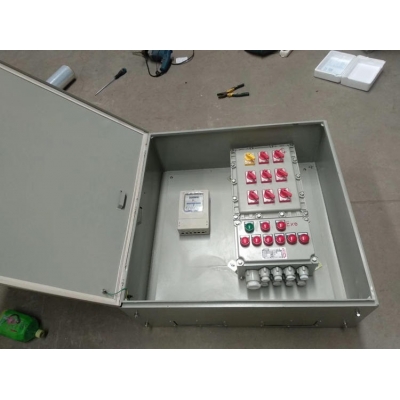 户外防爆照明动力配电箱柜/BXM(D)带防护柜防爆箱