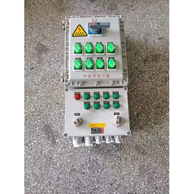 1进8出防爆动力检修电源插座箱 ExdbebIIBT4Gb