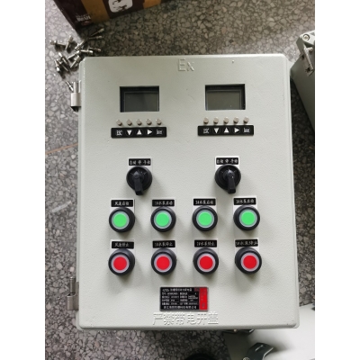 温控表防爆箱 96-96防爆仪表控制箱 BXK