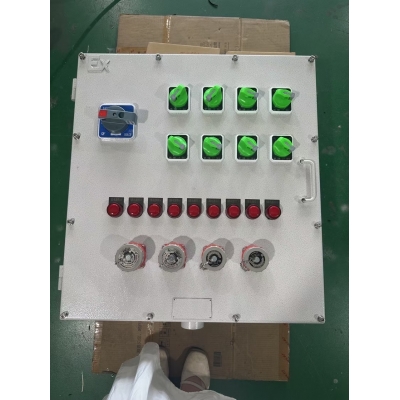 粉尘防爆检修电源插座箱 BXX系列 ExtbIIICT80℃ 正泰元件