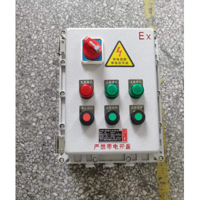 防爆电机风机控制箱 正反转防爆磁力启动器