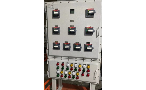 南京碳钢防爆柜 立地式防爆动力柜 施耐德元件 IIBT4