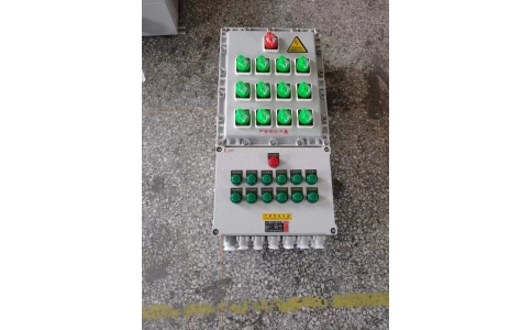 1进12出 防爆照明动力配电箱 铸铝材质IIBT4