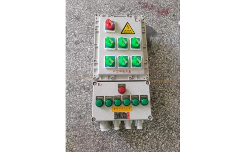 5回路带总开关 防爆配电箱照明开关箱