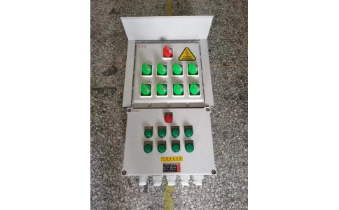 1进8出防爆配电箱 照明/动力防爆箱 户外防雨罩