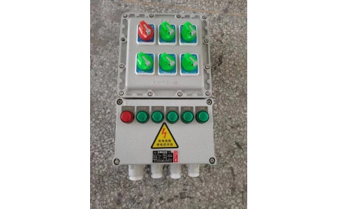 500-300防爆配电箱 1进5出 壁挂式