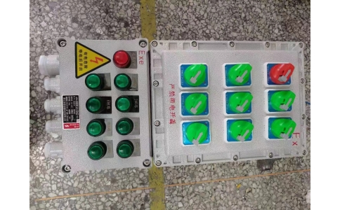 1进8出 600-300防爆照明动力配电箱 施耐德元件