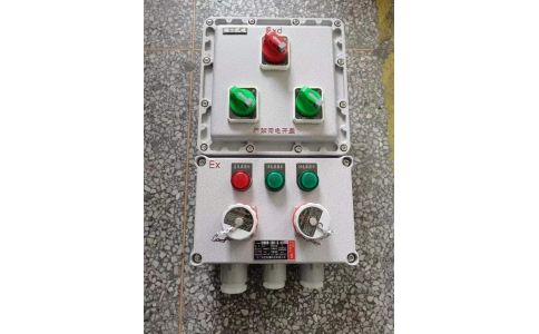 防爆检修电源插座箱 IIBT4
