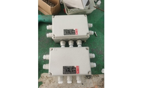 山东200-135-100铸铝防爆箱 增安型防爆端子箱